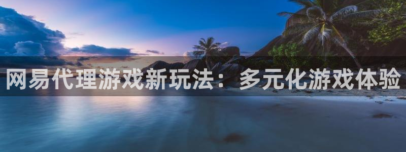 db电竞集团是什么企业：网易代理游戏新玩法：多元化游戏体验