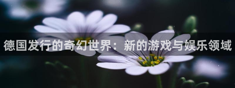 db电竞官网注册方法视频：德国发行的奇幻世界：新的游戏与娱乐领域