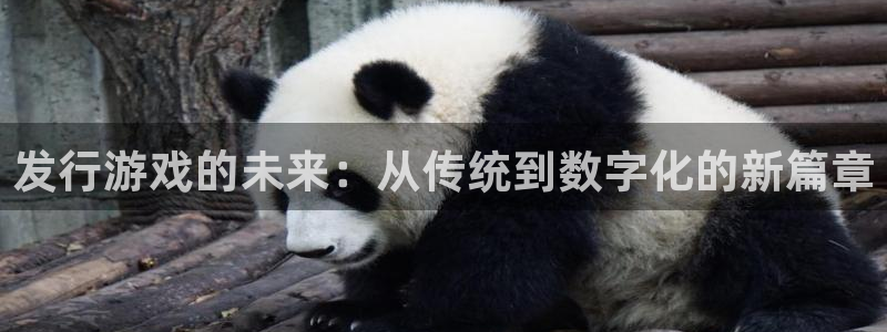 db电竞的寓意：发行游戏的未来：从传统到数字化的新篇章