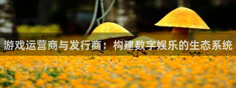 db电竞仓储中心：游戏运营商与发行商：构建数字娱乐的生态系统