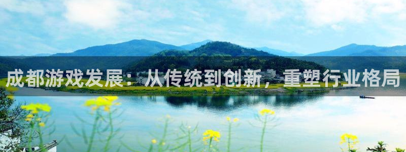 db电竞官网怎么注册账号：成都游戏发展：从传统到创新，重塑行业格局
