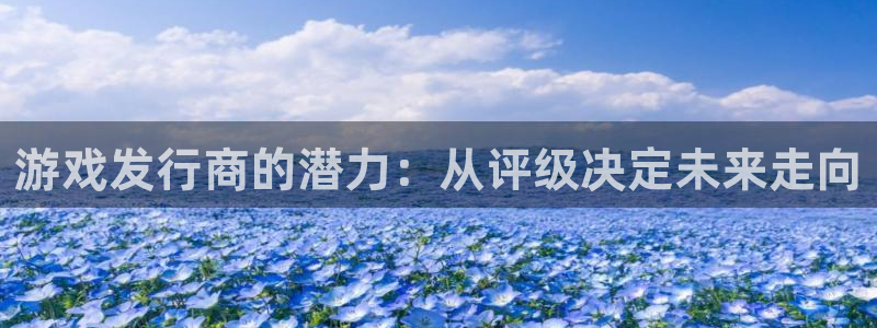 db电竞官网平台怎么样：游戏发行商的潜力：从评级决定未来走向