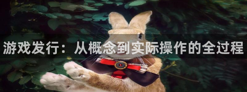 db电竞好还是红狮好