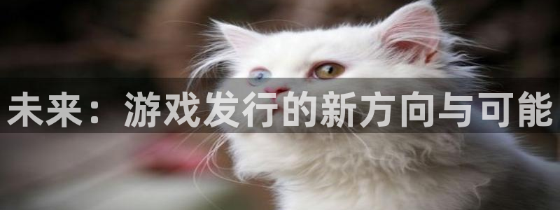 db电竞官网官网注册账号是什么：未来：游戏发行的新方向与可能