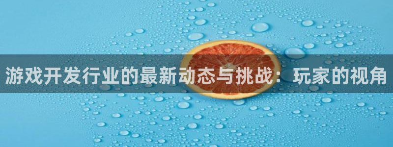 法国db电竞官网：游戏开发行业的最新动态与挑战：玩家的视角