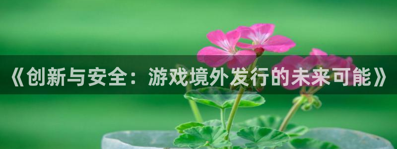 广州db电竞网络科技有限公司怎么样：《创新与安全：游戏境外发行的未来可能》