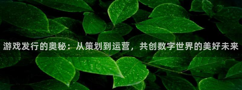 db电竞官网招商主管：游戏发行的奥秘：从策划到运营，共创数字世界的美好未来