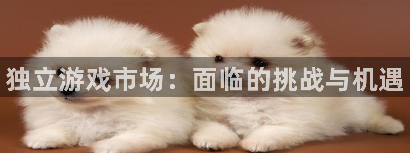 南京db电竞子电子商务有限公司