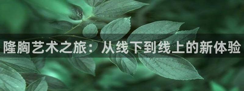 蜘蛛直播体育nba：隆胸艺术之旅：从线下到线上的新体验