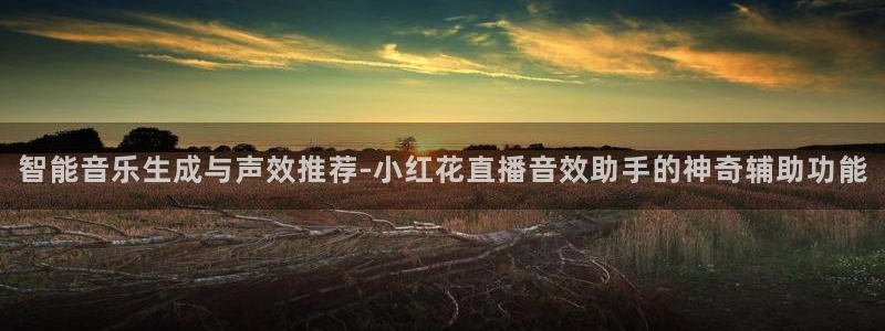 蜘蛛nba免费直播在线直播：智能音乐生成与声效推荐-小红花直播音效助手的神奇辅助功能