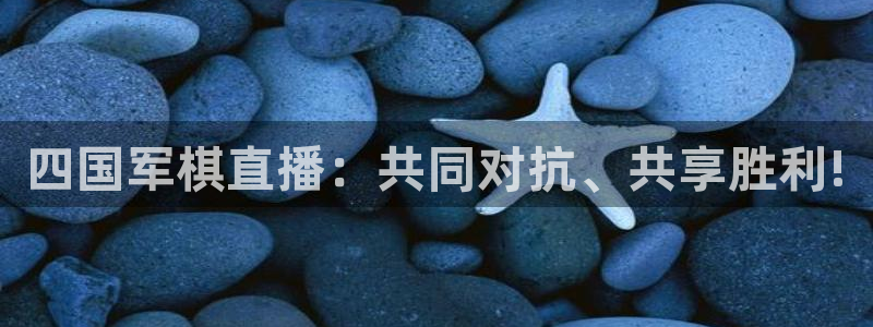 蜘蛛直播nba免费：四国军棋直播：共同对抗、共享胜利!