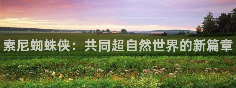 db电竞商标：索尼蜘蛛侠：共同超自然世界的新篇章