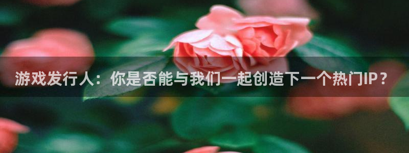 db电竞电子商务有限公司