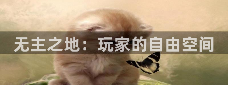 db电竞环境科技有限公司：无主之地：玩家的自由空间