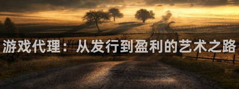 db电竞子写作课：游戏代理：从发行到盈利的艺术之路