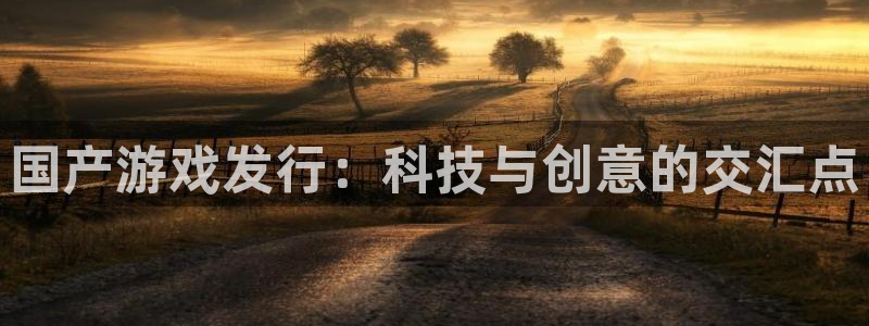 db电竞官网注册登录：国产游戏发行：科技与创意的交汇点