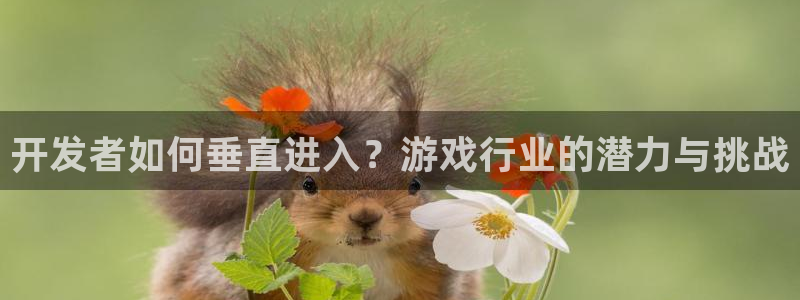 db电竞官网注册平台是什么软件：开发者如何垂直进入？游戏行业的潜力与挑战