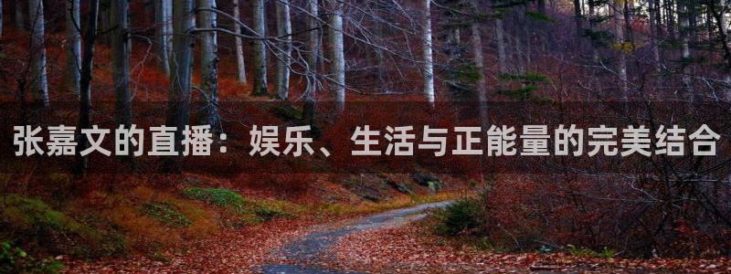 蜘蛛nba免费直播在线观看高清：张嘉文的直播：娱乐、生活与正能量的完美结合