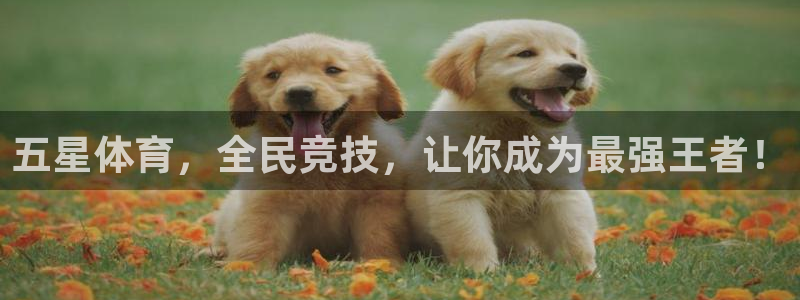 蜘蛛体育免费直播：五星体育，全民竞技，让你成为最强王者！