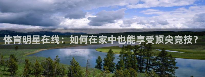 蜘蛛直播nba免费观看：体育明星在线：如何在家中也能享受顶尖竞技？