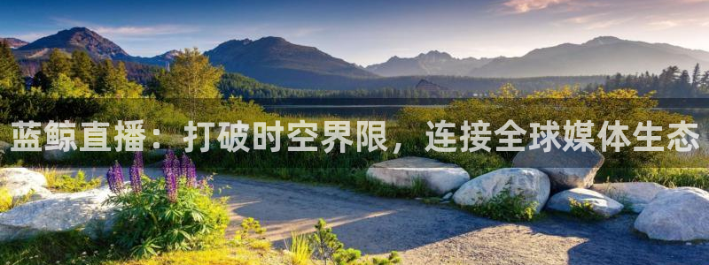 nba直播免费观看直播在线蜘蛛：蓝鲸直播：打破时空界限，连接全球媒体生态