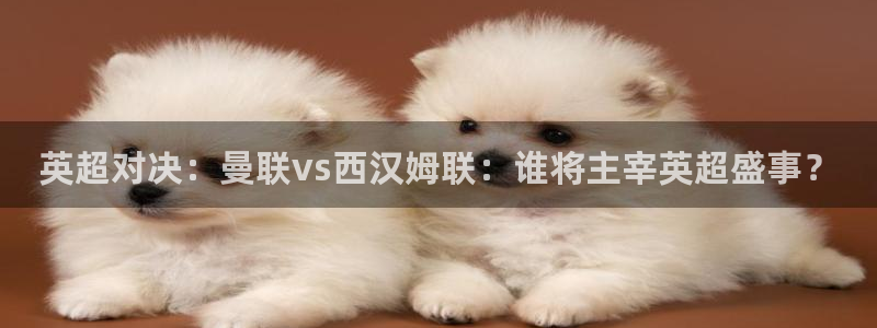 蜘蛛体育直播在线直播：英超对决：曼联vs西汉姆联：谁将主宰英超盛事？