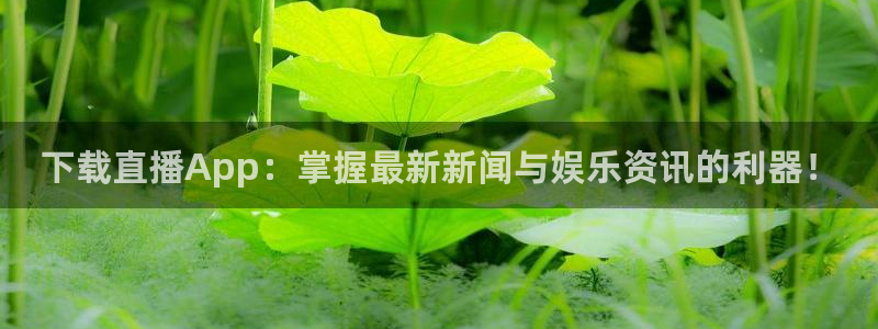 蜘蛛直播体育免费直播：下载直播App：掌握最新新闻与娱乐资讯的利器！