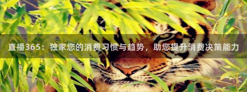 jrs直播nba(无插件)直播蜘蛛直播：直播365：独家您的消费习惯与趋势，助您提升消费决策能力